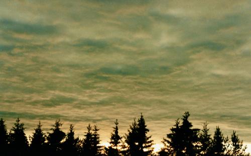 Altocumulus opacus – tihe läbipaistmatu pilvemassiiv. FOTO: Sulev Kuuse