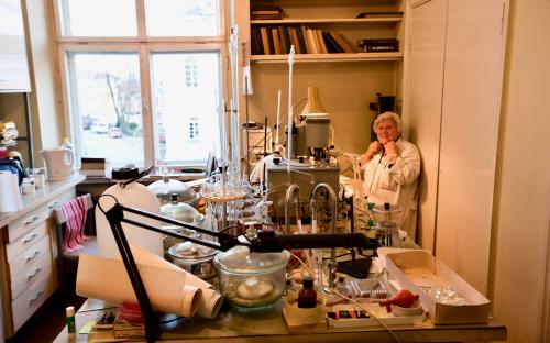 Analüütilise keemia õppetooli erakorraline teadur Juta Koppel vana keemiahoone laboris 2008. aastal. FOTO: Ove Maidla